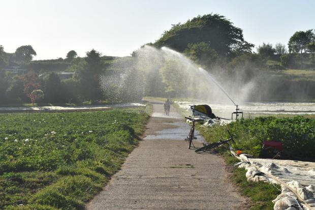 Isle of Wight County Press: Irrigation at Living Larder.
